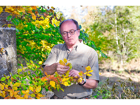 Förster Otto Ketterl Förster Otto Ketterl