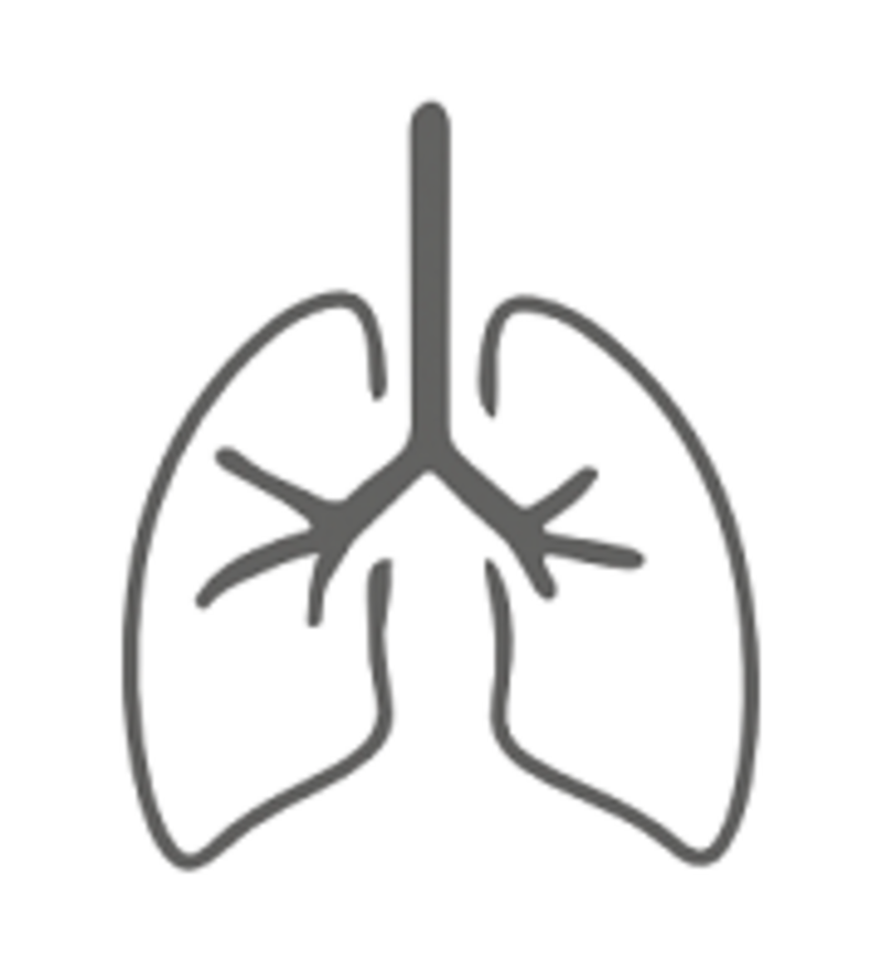 lung lung