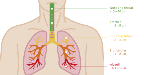 Harmful effects of particulate matter pollution. Harmful effects of particulate matter pollution.