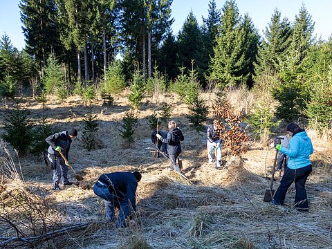 ESTA Azubis forsten Wald auf