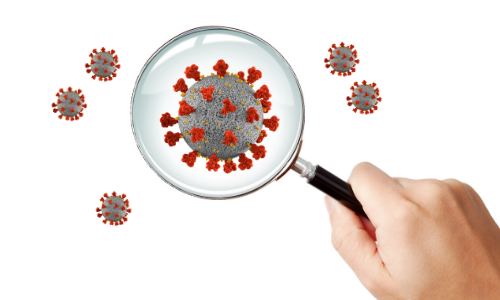 Coronavirus Coronavirus