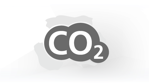 Icon CO2 Icon CO2