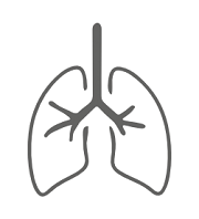 lung 